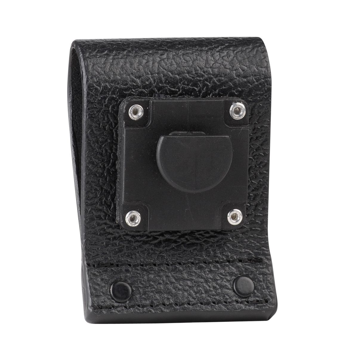 PMLN5019C.carry04.jpg