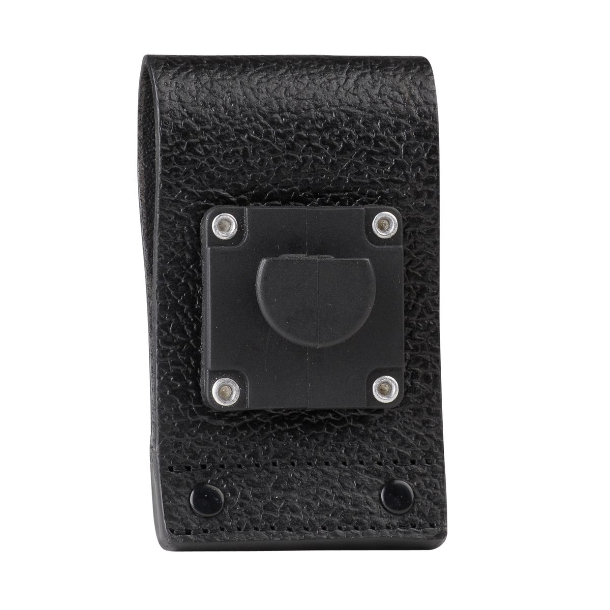 PMLN5029B.carry04.jpg