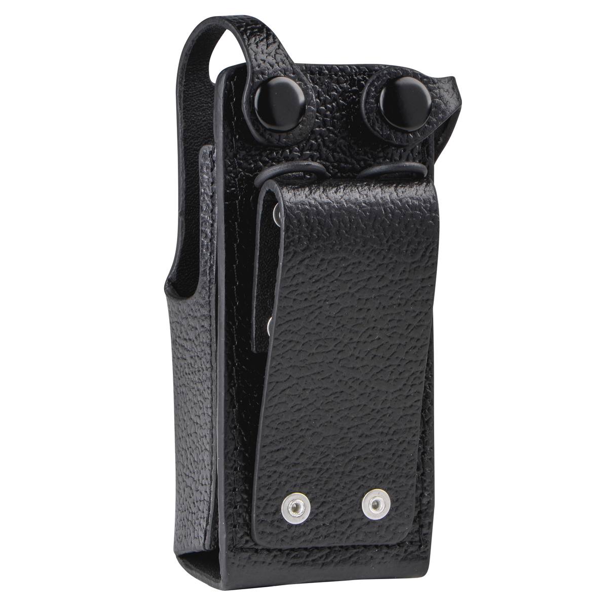 PMLN5030B.carry02.jpg