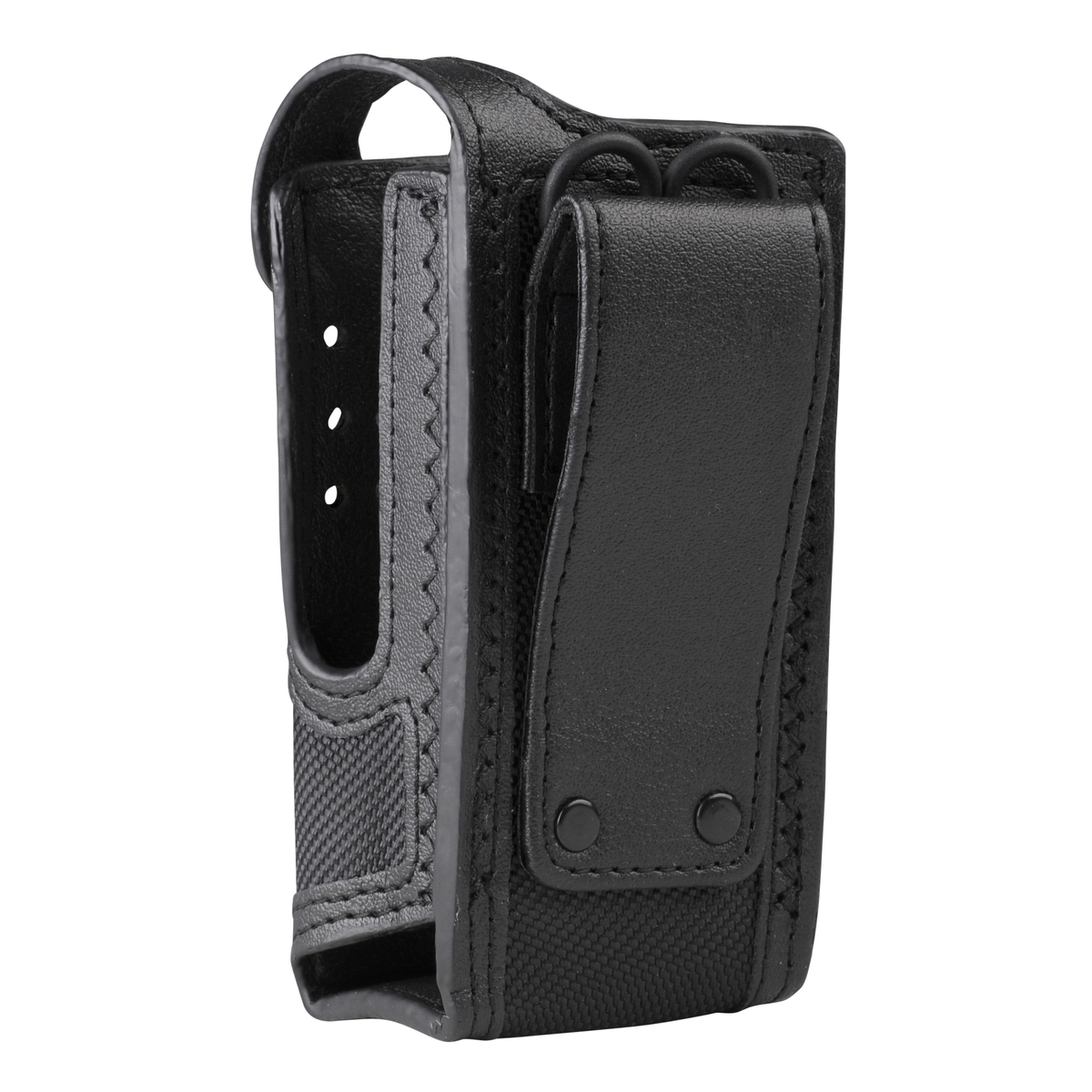 PMLN5870A.carry02.jpg