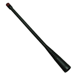 aae23x503.jpg