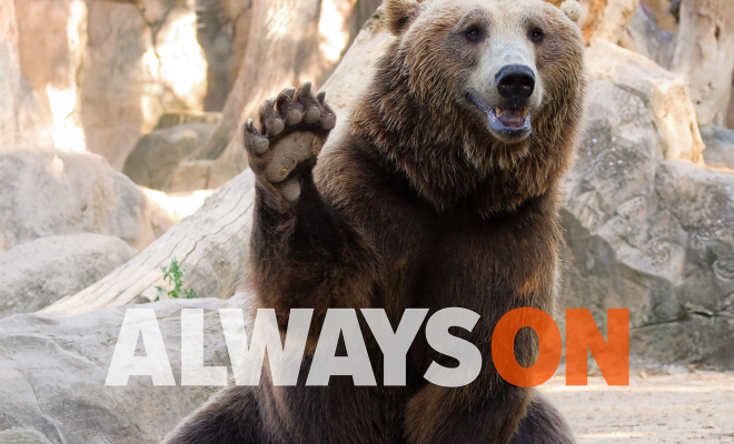 AlwaysOn Bear Waving