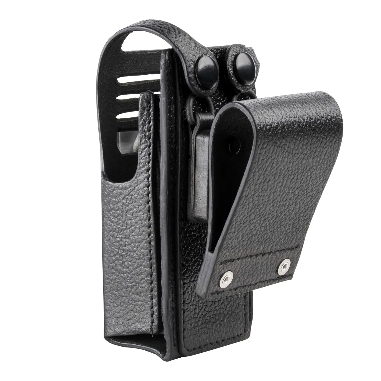PMLN5028B.carry02.jpg
