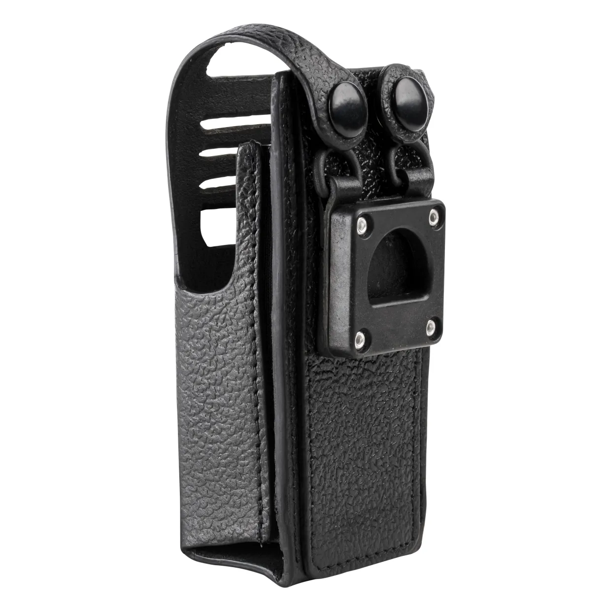 PMLN5028B.carry03.jpg