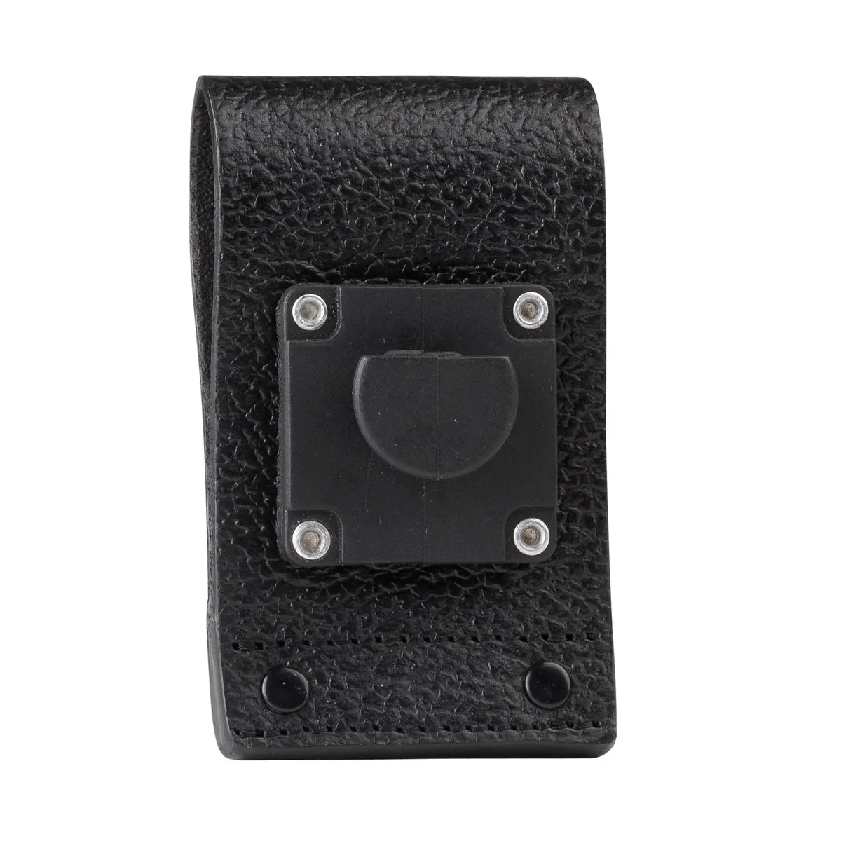 PMLN5029B.carry04.jpg