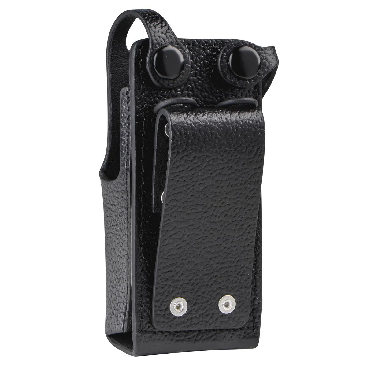 PMLN5030B.carry02.jpg