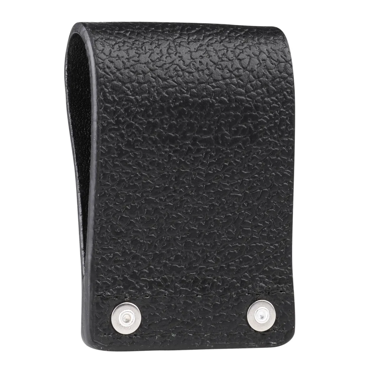 PMLN5610A.carry01.jpg