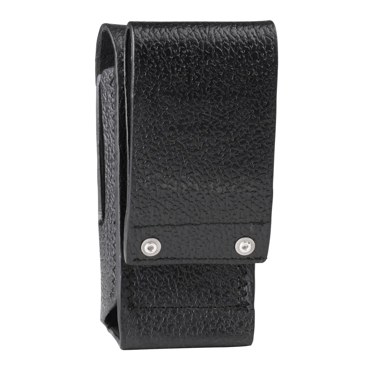 PMLN5866A.carry02.jpg