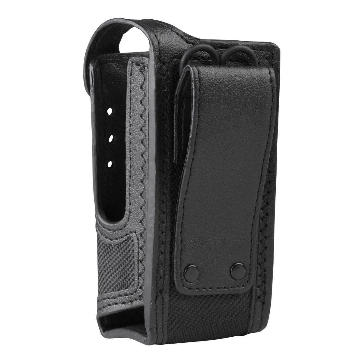 PMLN5870A.carry02.jpg