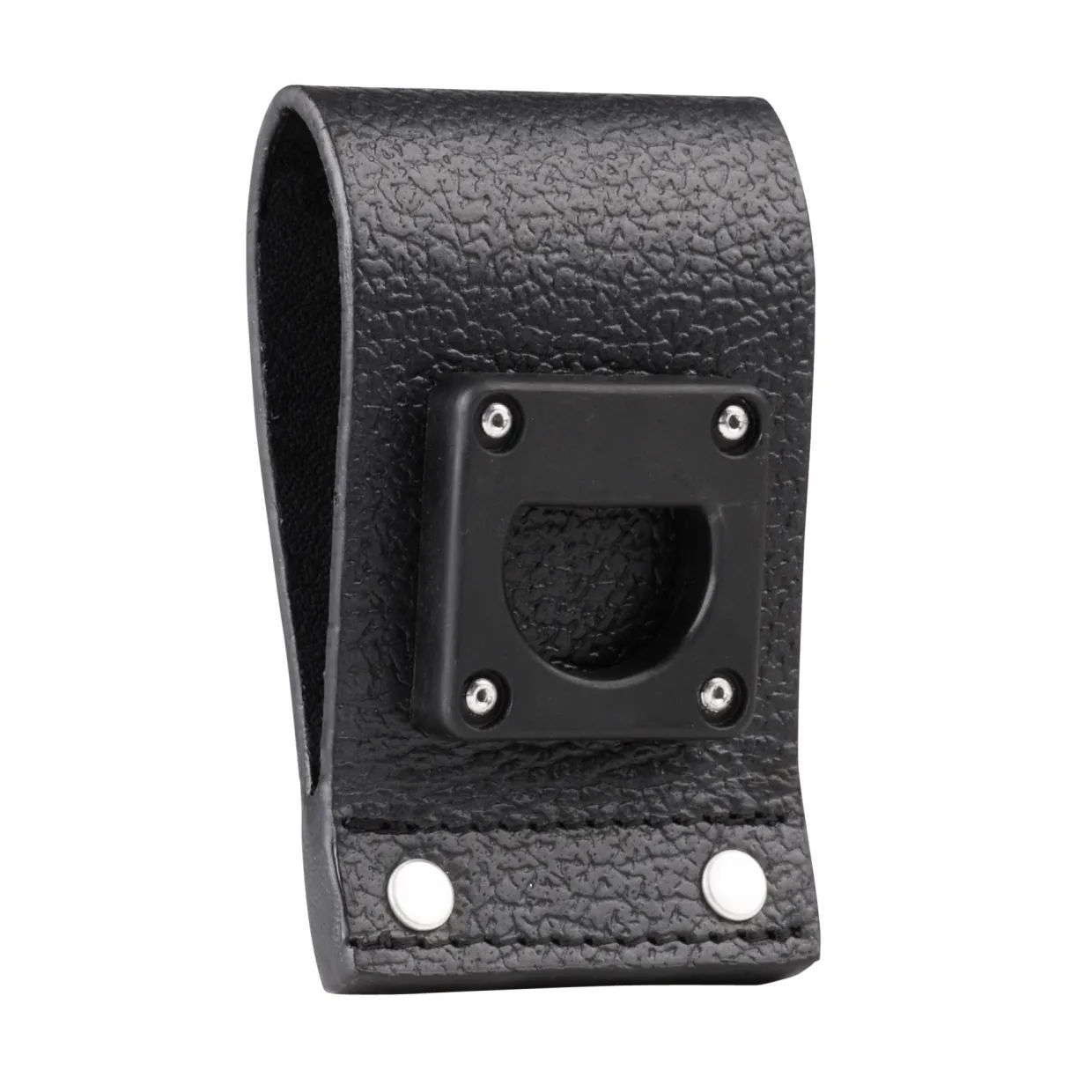 RLN5385B.carry04.jpg