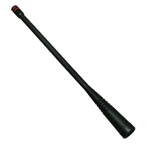 aae23x503.jpg